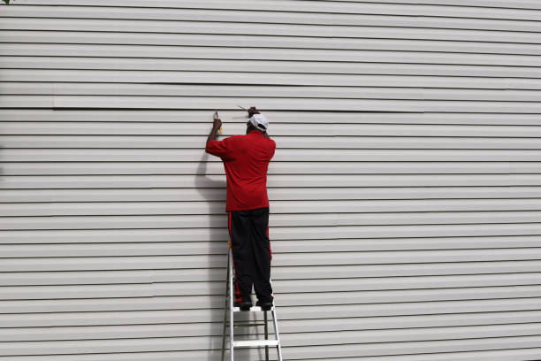 Best Aluminum Siding Installation  in Cocoa Beach, FL